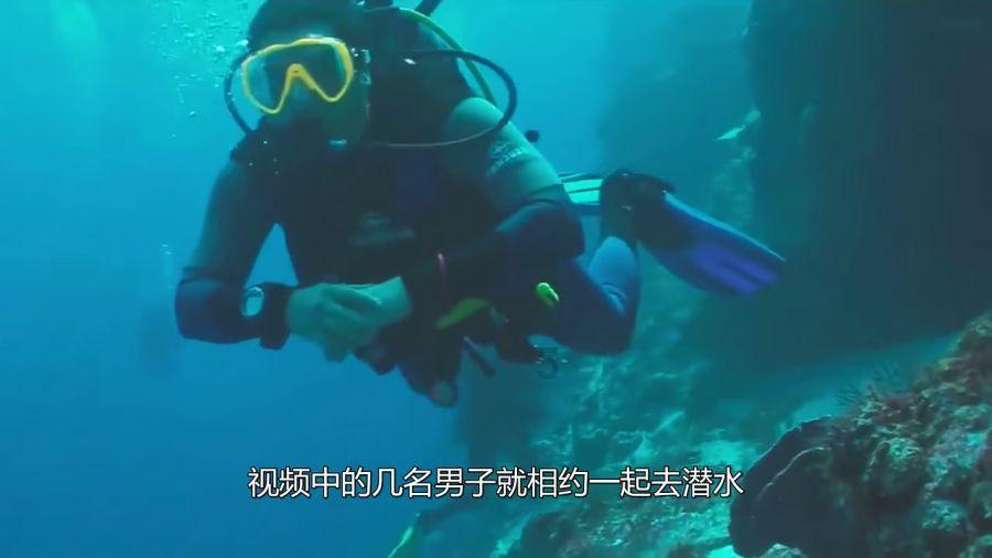 哈马斯领导人:将在开罗就停火建议进行讨论